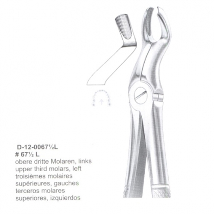 Extracting Forceps (English Pattern)