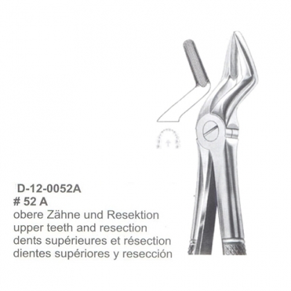 Extracting Forceps (English Pattern)