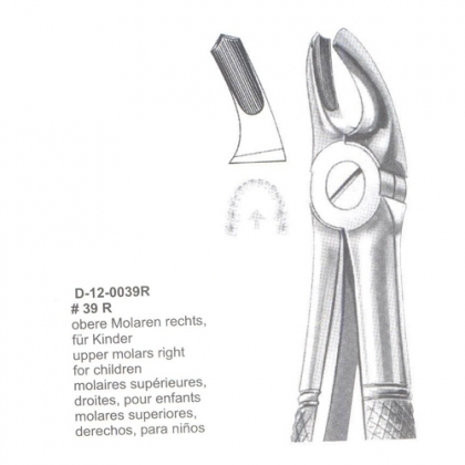 Extracting Forceps (English Pattern)