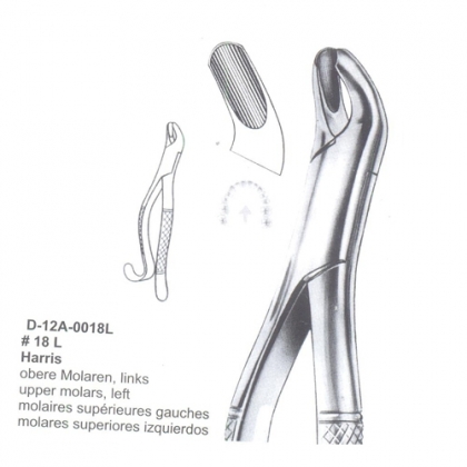 EXTRACTING FORCEPS (American Pattern)