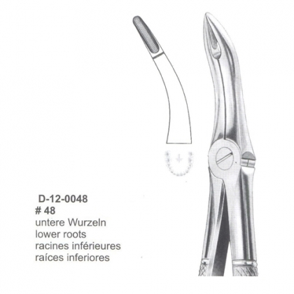 Extracting Forceps (English Pattern)