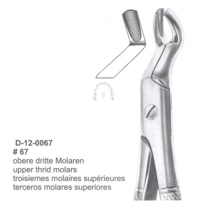 Extracting Forceps (English Pattern)
