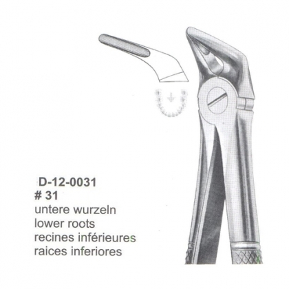 Extracting Forceps (English Pattern)