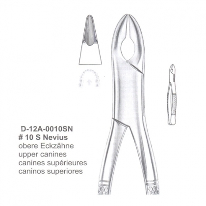 EXTRACTING FORCEPS (American Pattern)