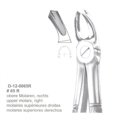 Extracting Forceps (English Pattern)