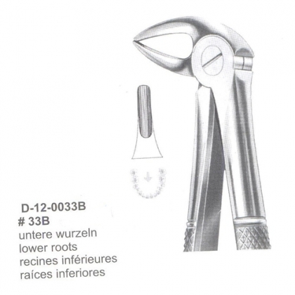 Extracting Forceps (English Pattern)