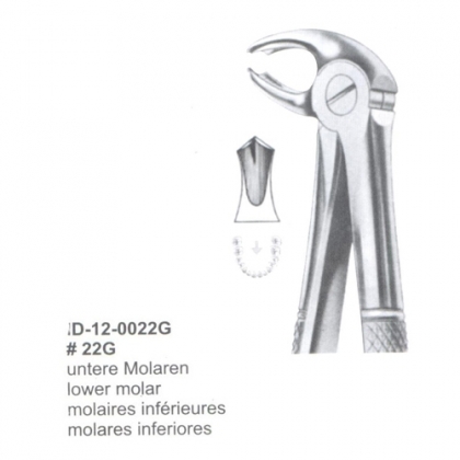 Extracting Forceps (English Pattern)