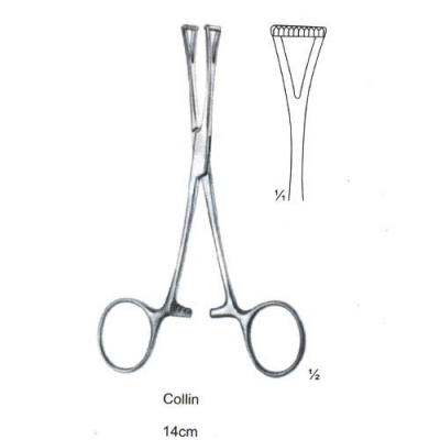 Artery Forceps