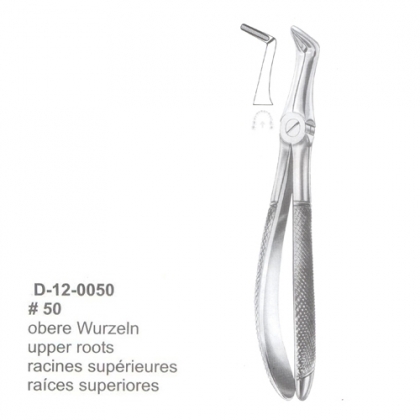 Extracting Forceps (English Pattern)