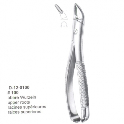 Extracting Forceps (English Pattern)
