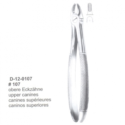 Extracting Forceps (English Pattern)