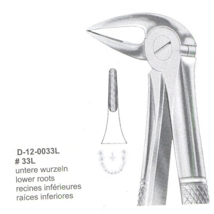 Extracting Forceps (English Pattern)