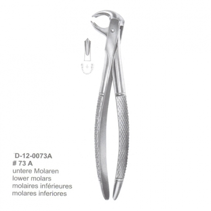Extracting Forceps (English Pattern)