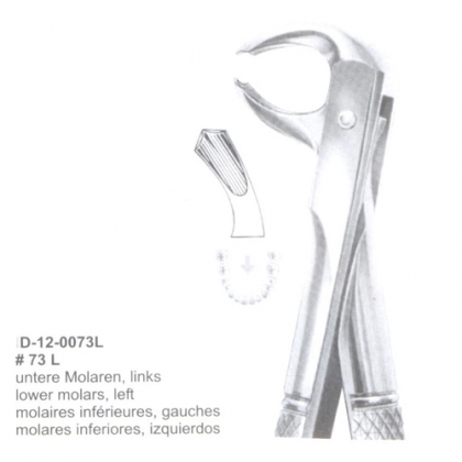 Extracting Forceps (English Pattern)