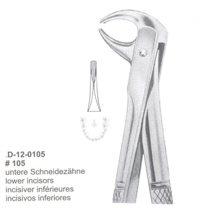 Extracting Forceps (English Pattern)