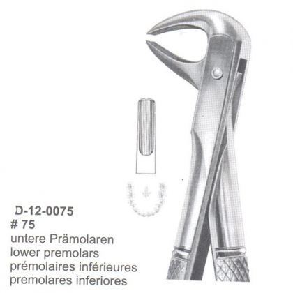 Extracting Forceps (English Pattern)