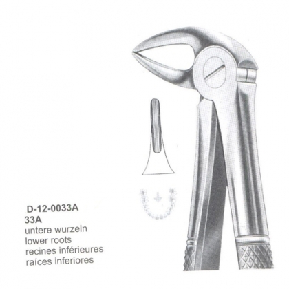 Extracting Forceps (English Pattern)