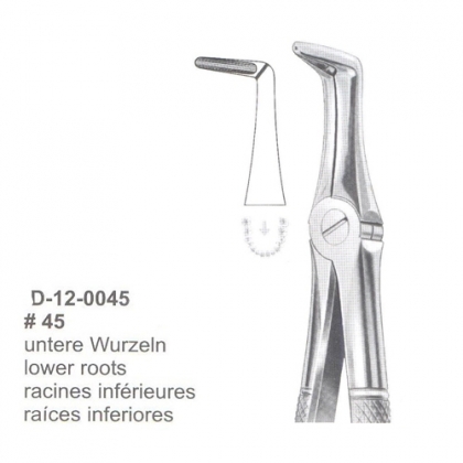 Extracting Forceps (English Pattern)