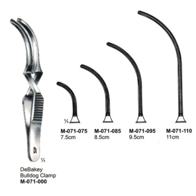 Cardiovascular Surgery
