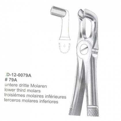 Extracting Forceps (English Pattern)