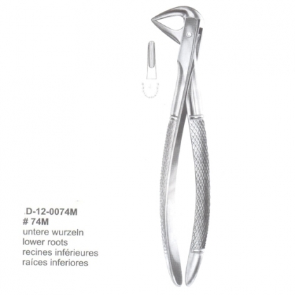 Extracting Forceps (English Pattern)