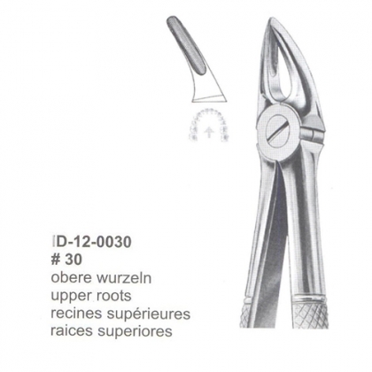 Extracting Forceps (English Pattern)