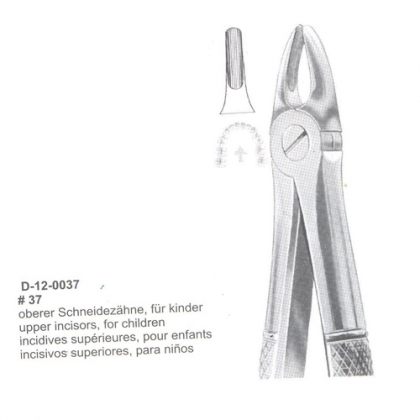 Extracting Forceps (English Pattern)
