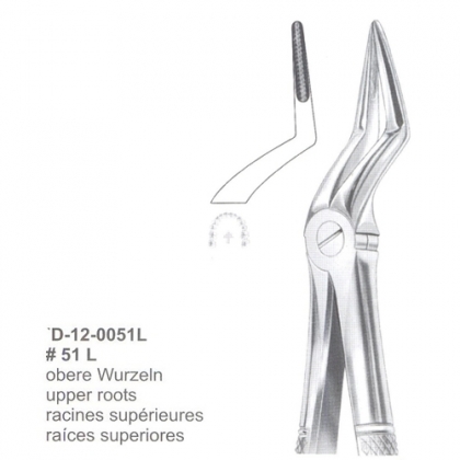 Extracting Forceps (English Pattern)