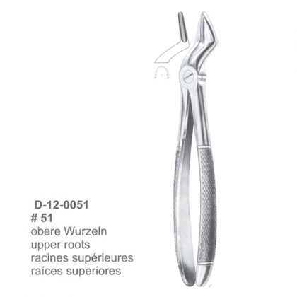Extracting Forceps (English Pattern)