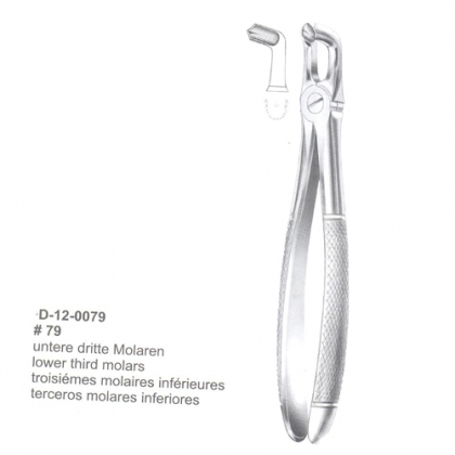 Extracting Forceps (English Pattern)