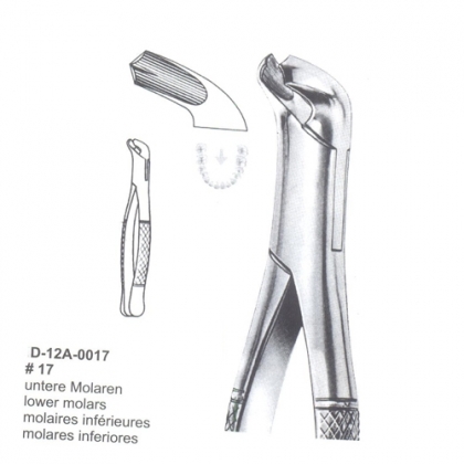 EXTRACTING FORCEPS (American Pattern)
