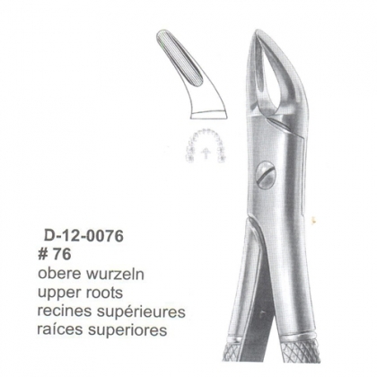Extracting Forceps (English Pattern)