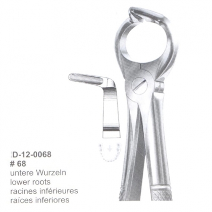 Extracting Forceps (English Pattern)