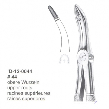Extracting Forceps (English Pattern)