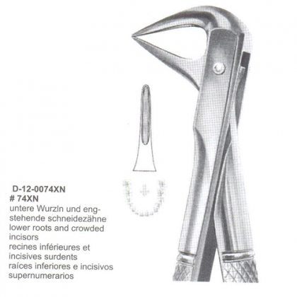 Extracting Forceps (English Pattern)