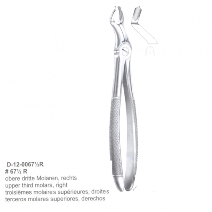Extracting Forceps (English Pattern)