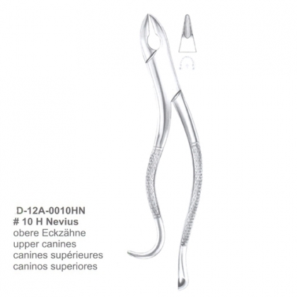 EXTRACTING FORCEPS (American Pattern)