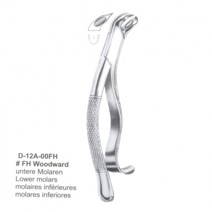 EXTRACTING FORCEPS (American Pattern)