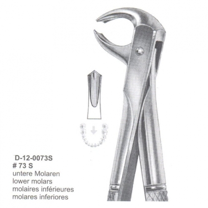 Extracting Forceps (English Pattern)