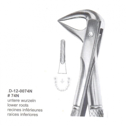 Extracting Forceps (English Pattern)