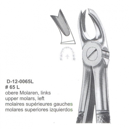 Extracting Forceps (English Pattern)