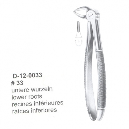 Extracting Forceps (English Pattern)