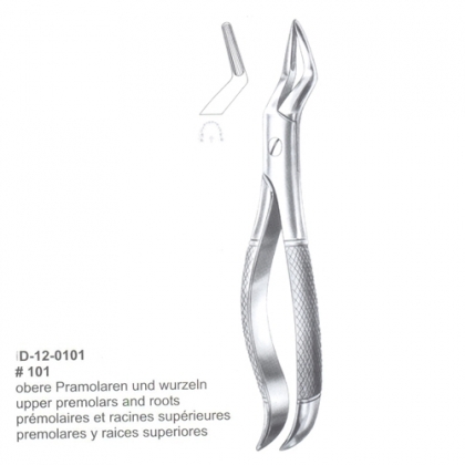Extracting Forceps (English Pattern)