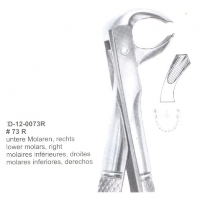 Extracting Forceps (English Pattern)