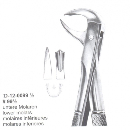Extracting Forceps (English Pattern)