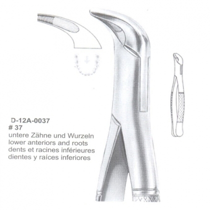 EXTRACTING FORCEPS (American Pattern)