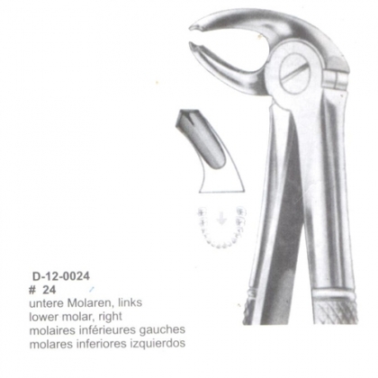Extracting Forceps (English Pattern)