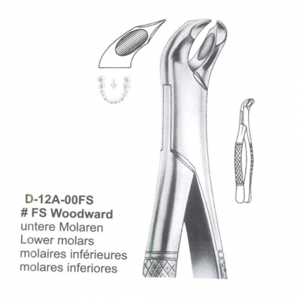 EXTRACTING FORCEPS (American Pattern)