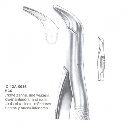 EXTRACTING FORCEPS (American Pattern)
