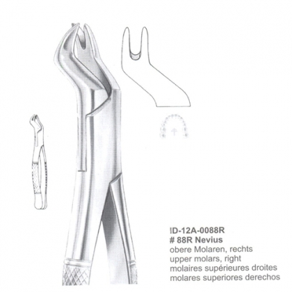 EXTRACTING FORCEPS (American Pattern)